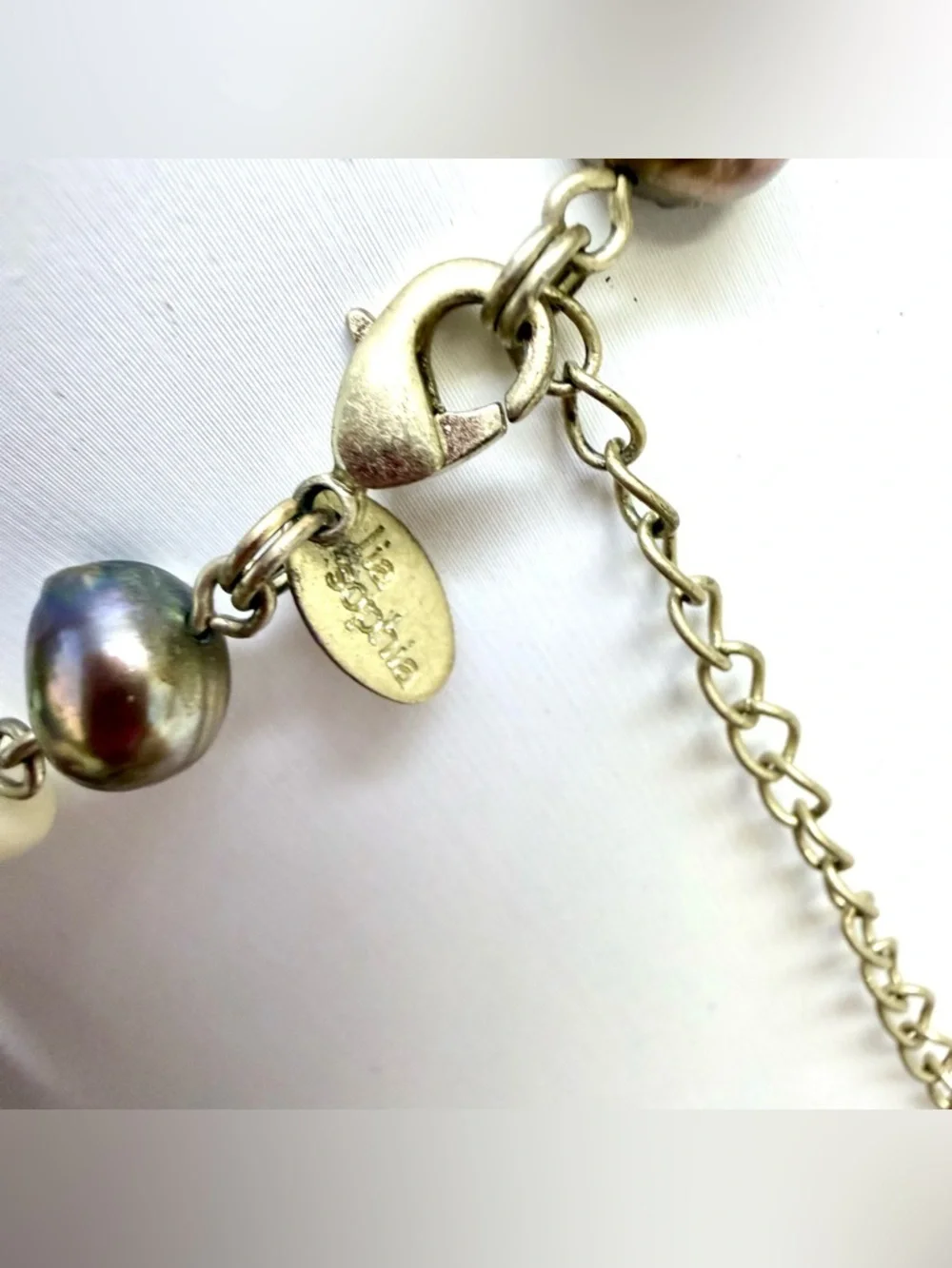 Lia Sophia Ciprani Necklace Long Chunky Bohemian Chic Earth Tone